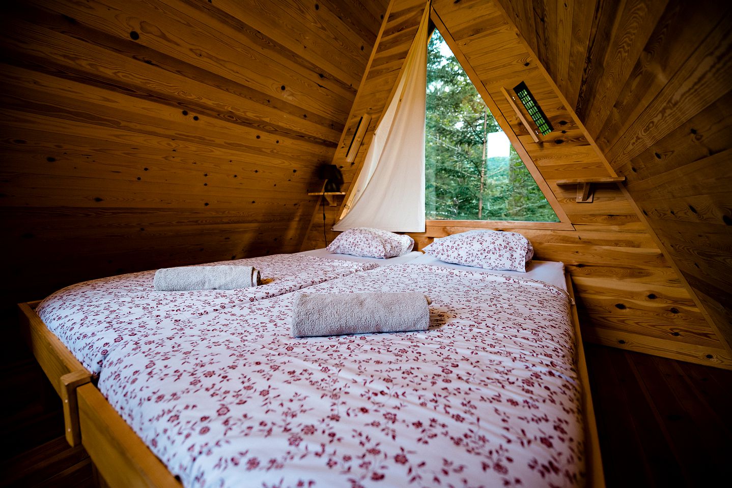 
                  
                    A-frame camping pod
                  
                