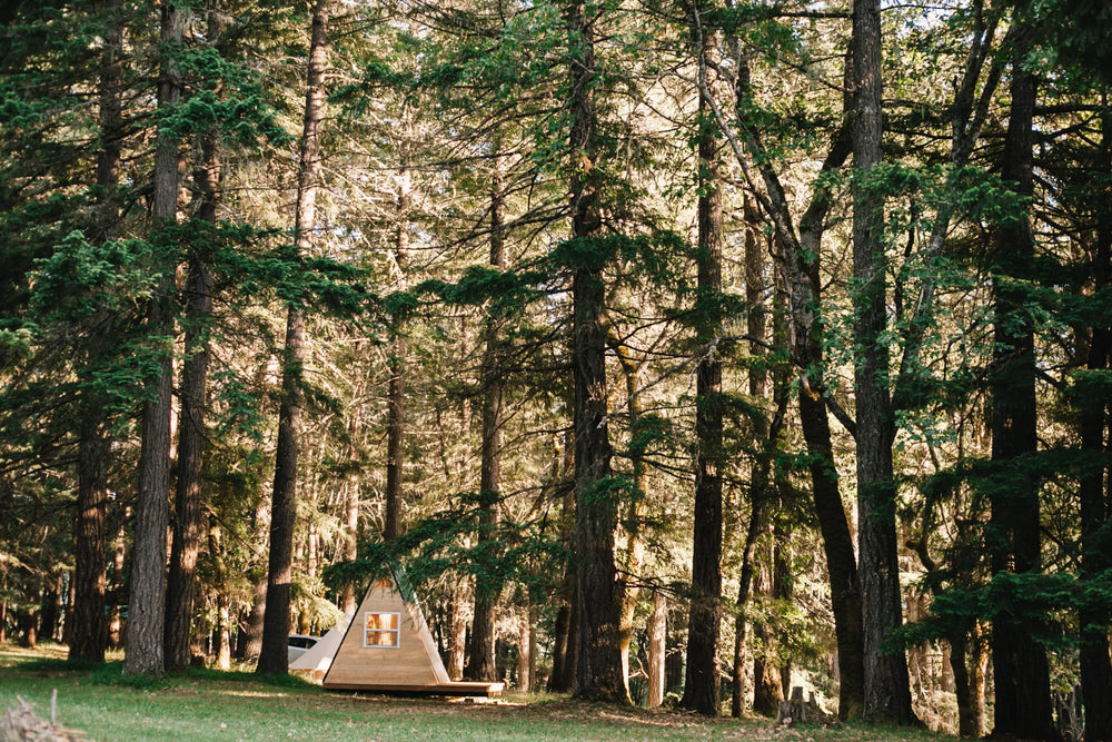 
                  
                    A-frame camping pod
                  
                