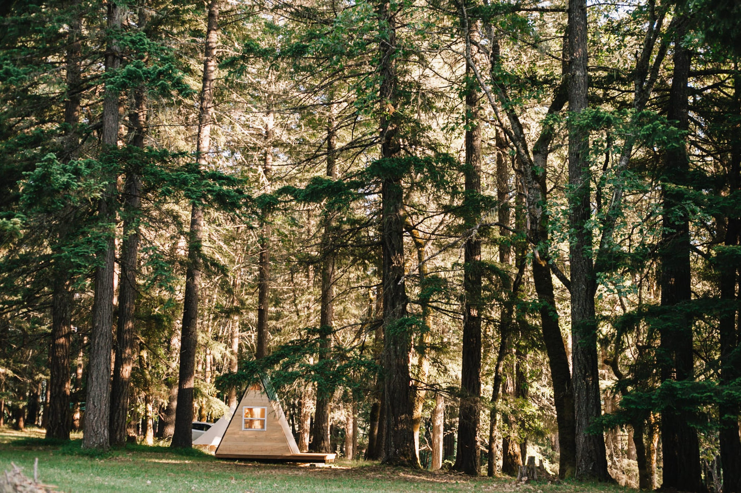 
                  
                    A-frame camping pod
                  
                
